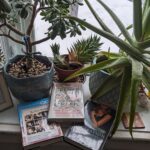 Book stack featuring three books on a window seat surrounded by plants